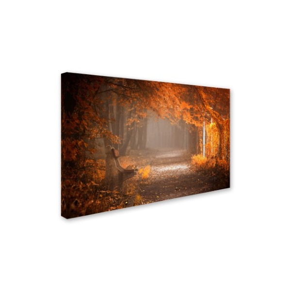 Ildiko Neer 'Waiting To Fall' Canvas Art,16x24